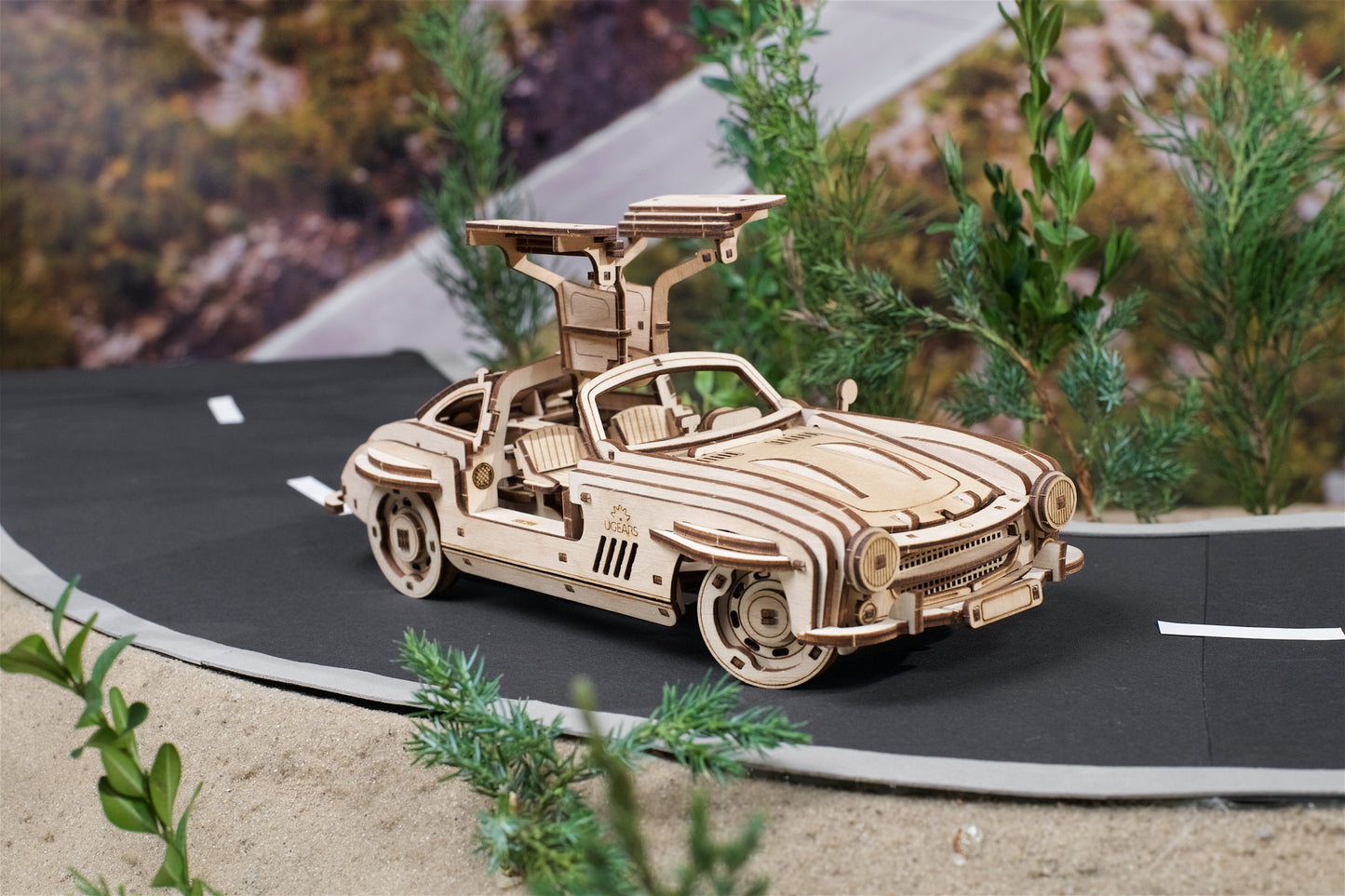 Gullwing doors sports coupe